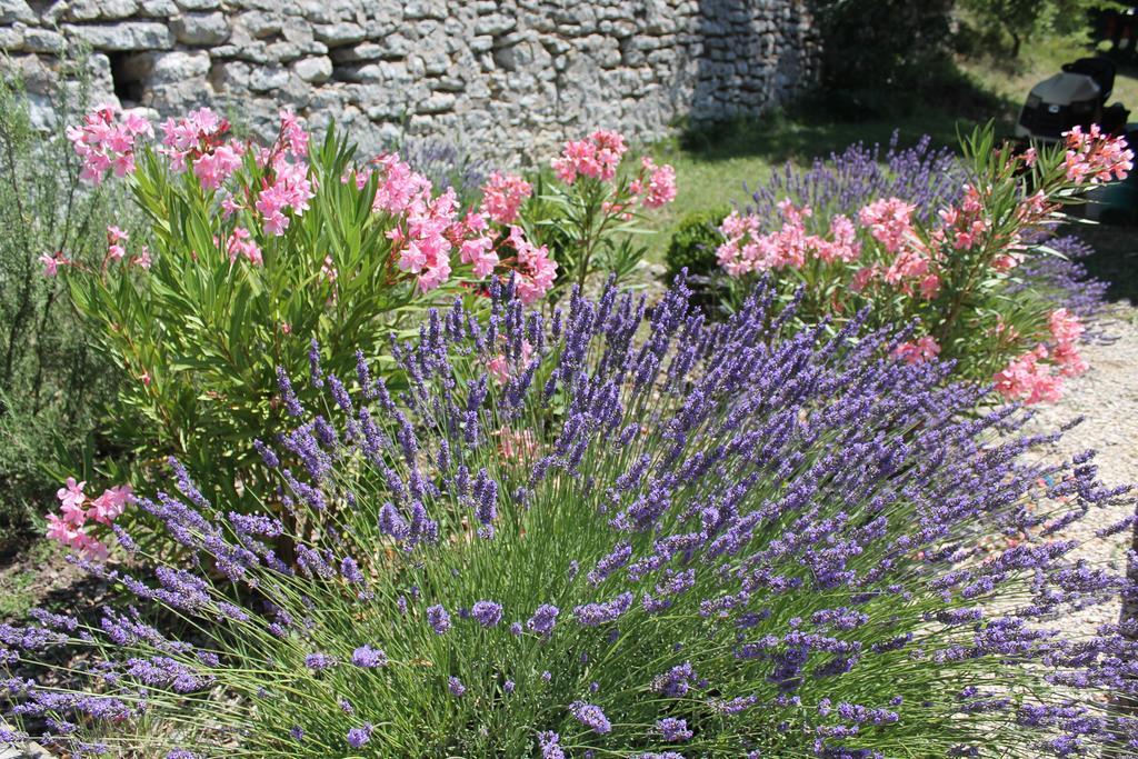 Château de Peyrolles Apt Exterior foto